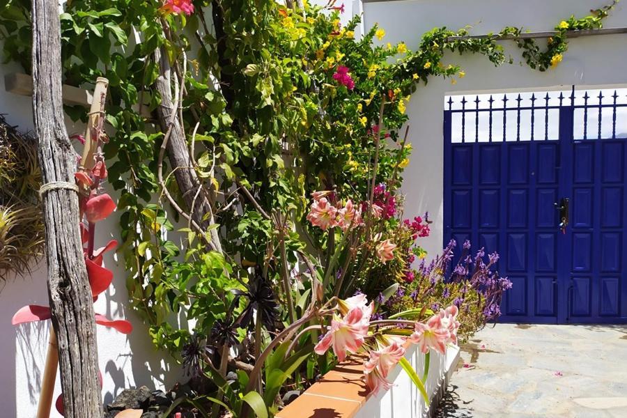 Casa Vista Caldera Villa ติคาราเฟ ภายนอก รูปภาพ